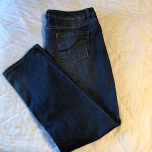 Lane Bryant Straight Leg Genius Fit Jeans